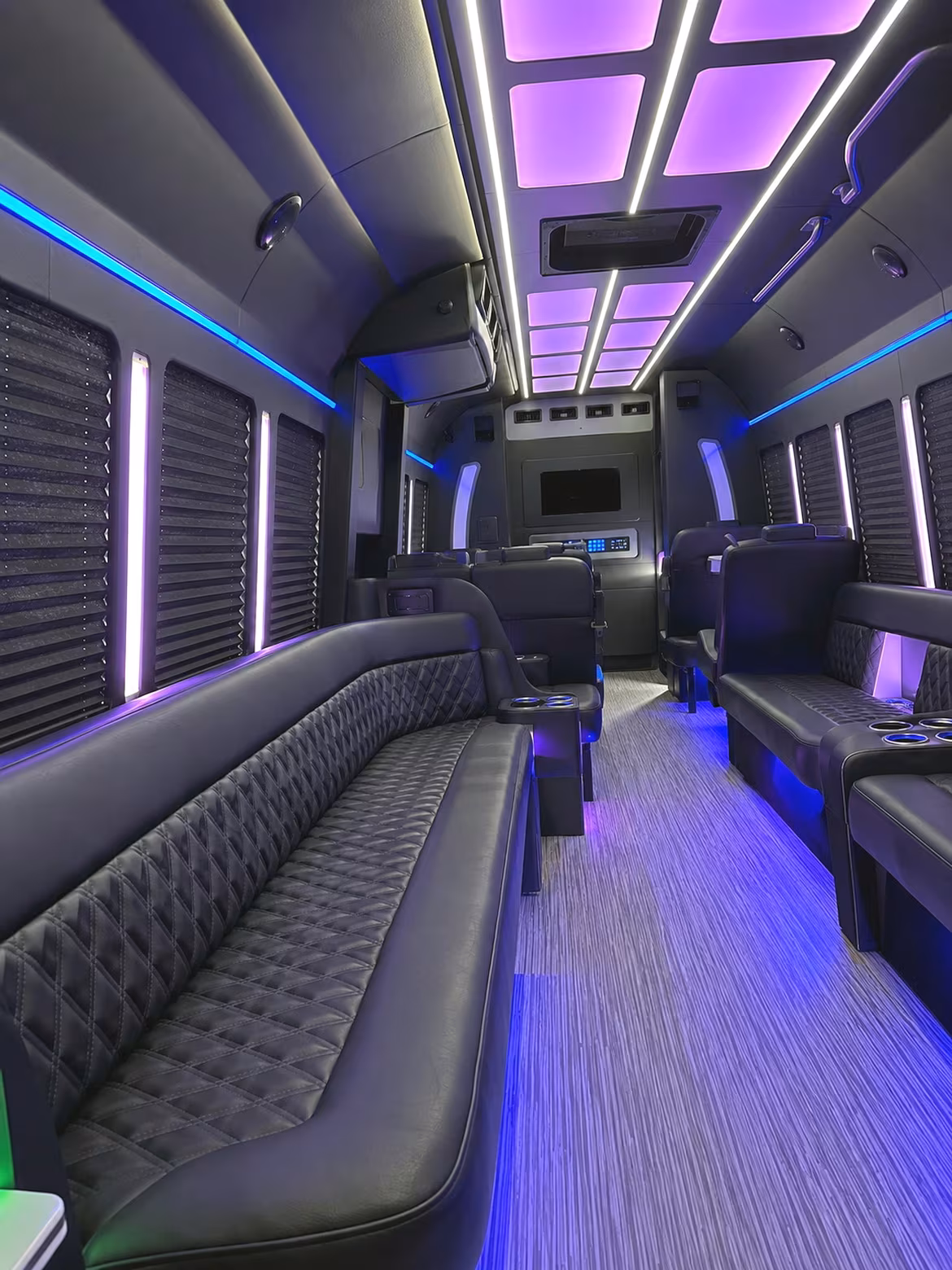 sunnyvale birthday party bus rental